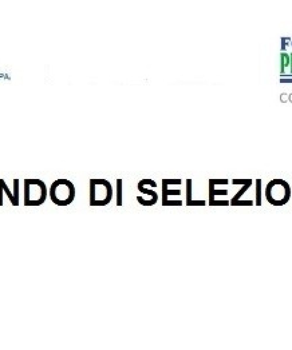 bando_startup